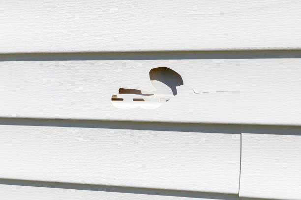 Trusted La Villa, TX Siding Installation Experts